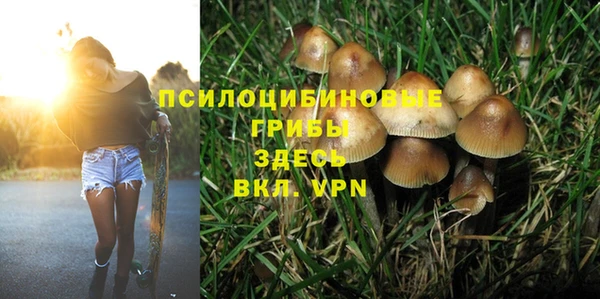 не бодяженный Приозерск