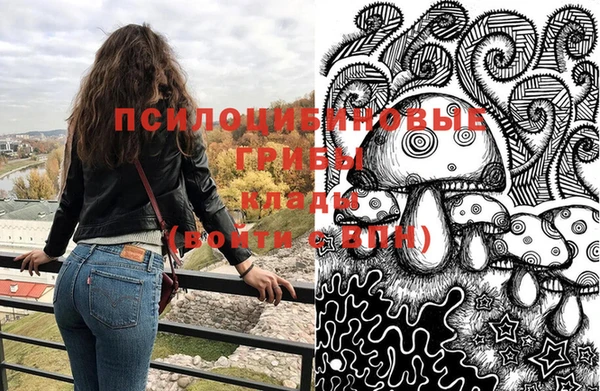 прущая мука Протвино