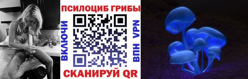 Галлюциногенные грибы мухоморы Старая Купавна